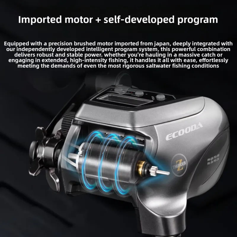 【2026 Hot Selling】 Ecooda New  - đánh giá và giá Electric Reel